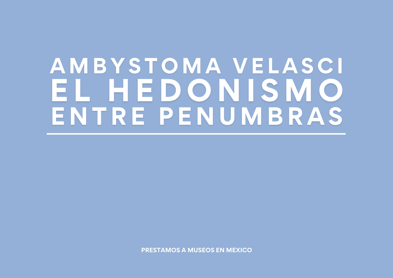 Portada 1